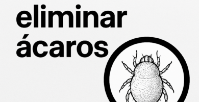 Ácaros, cómo eliminar..
